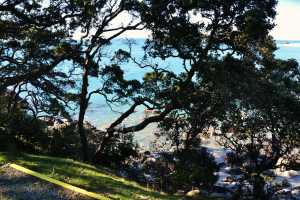 MT-MAUNGANUI(008)